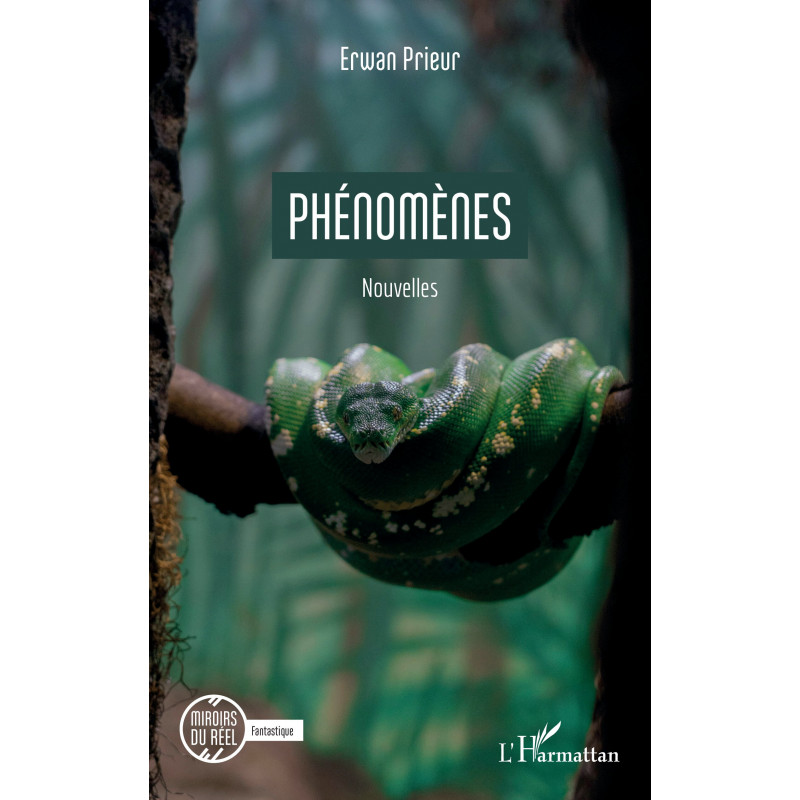 Phénomènes de Prieur Erwan