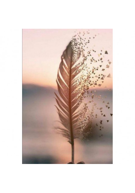 INNER EXPLORATION  de Florence SICRE KRAJCAR